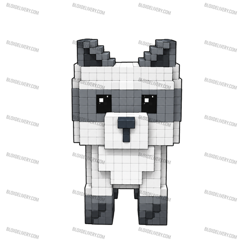 Raccoon