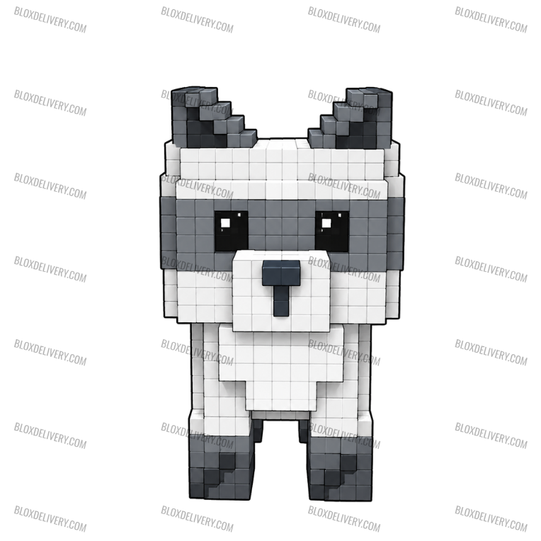 Raccoon